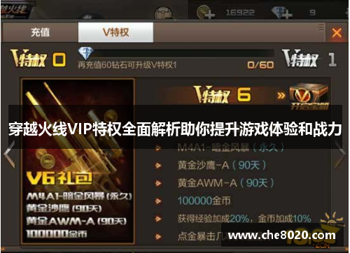 穿越火线VIP特权全面解析助你提升游戏体验和战力 穿越火线VIP特权全面解析助你提升游戏体验和战力