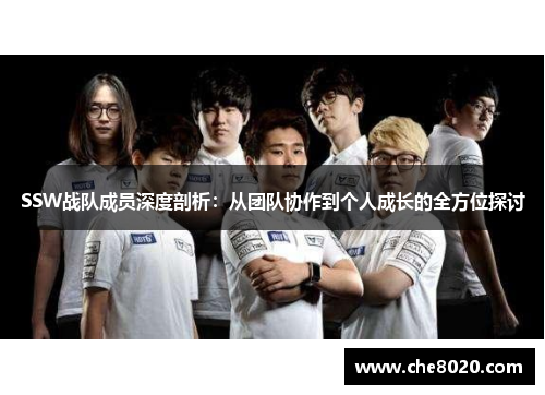 SSW战队成员深度剖析:从团队协作到个人成长的全方位探讨 SSW战队成员深度剖析:从团队协作到个人成长的全方位探讨