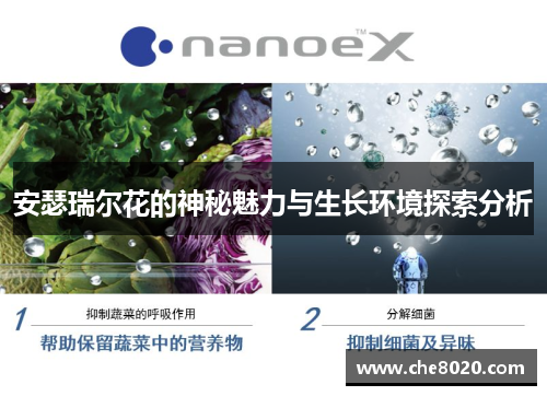 安瑟瑞尔花的神秘魅力与生长环境探索分析 安瑟瑞尔花的神秘魅力与生长环境探索分析